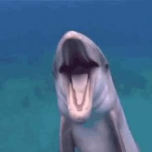 Meet your Posher, Henry